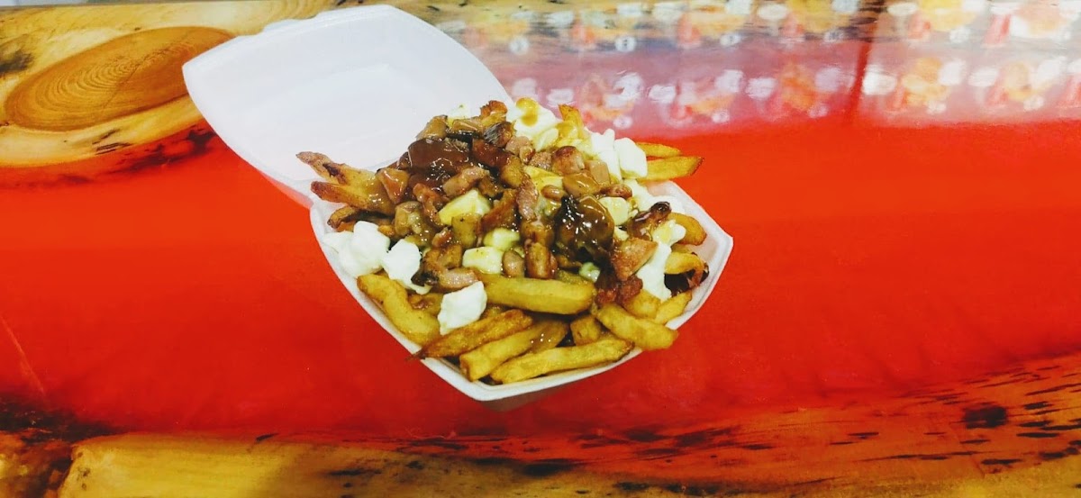 La Belle Sainte-Sophie (2018) inc. - Photo 2