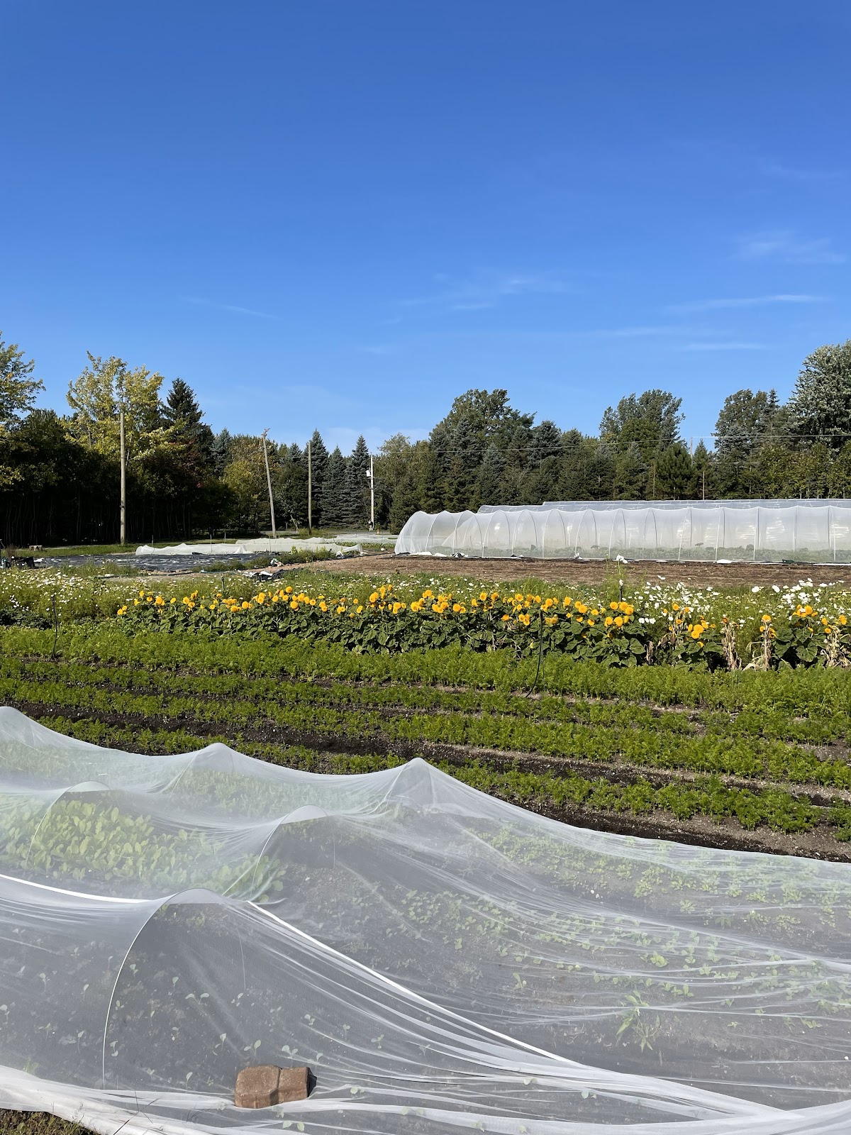 FERME DE LA PAMPA INC. - Photo 1