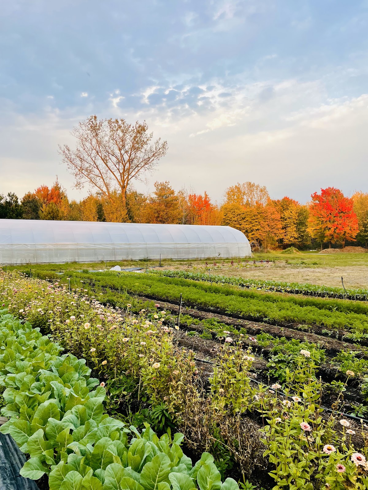 FERME DE LA PAMPA INC. - Photo 2
