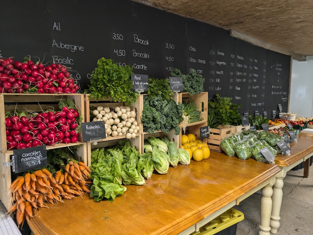 FERME DE LA PAMPA INC. - Photo 4