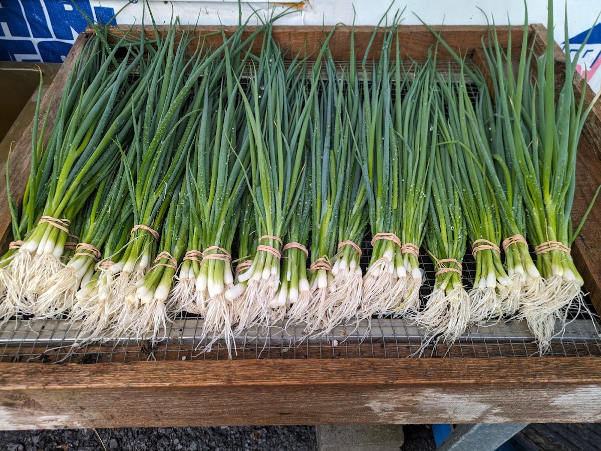 FERME DE LA PAMPA INC. - Photo 5