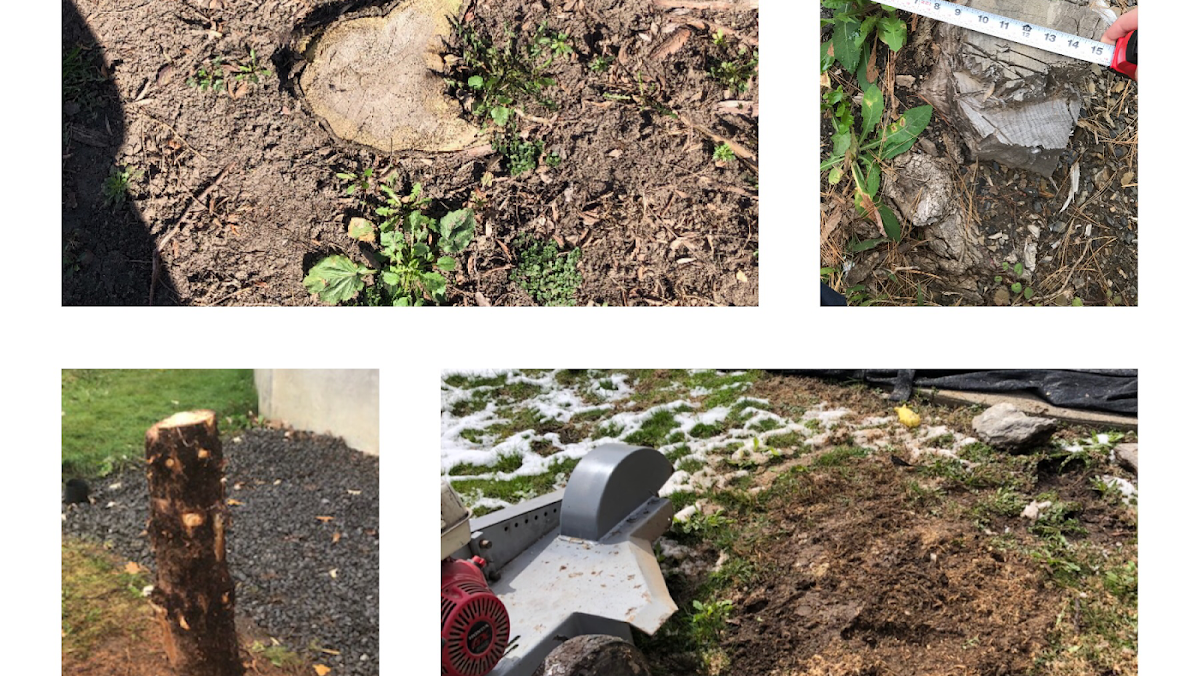 Essouchage Dulude - Photo 1