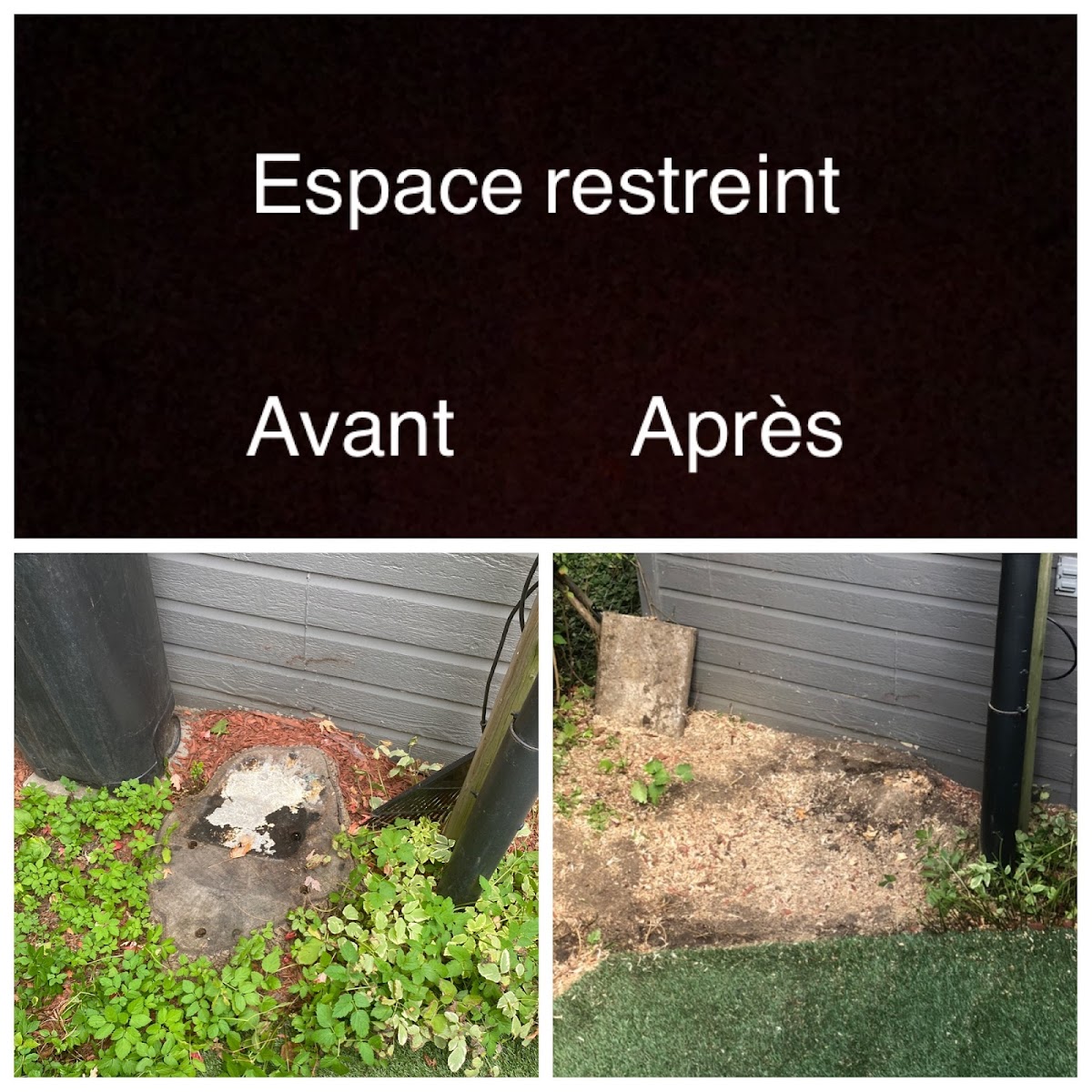 Essouchage Dulude - Photo 2