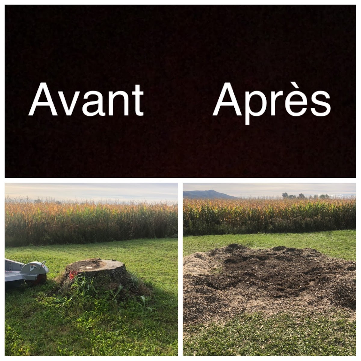 Essouchage Dulude - Photo 4