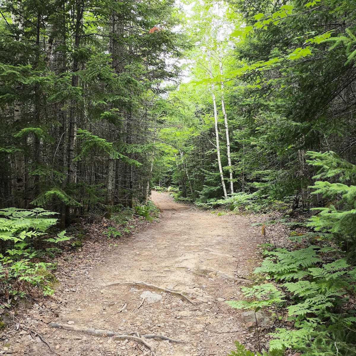 Confection Chalou - Photo 5