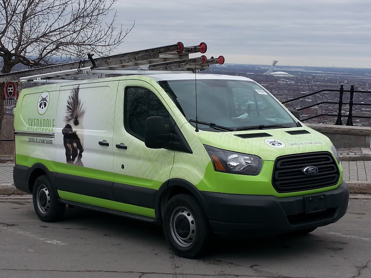 Skedaddle Contrôle de la Faune Sauvage - Photo 4